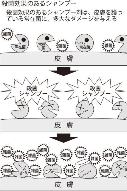 殺菌効果シャンプー