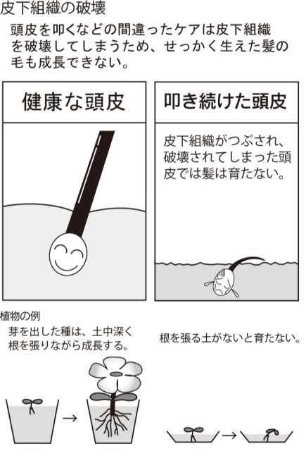 皮下組織の破壊