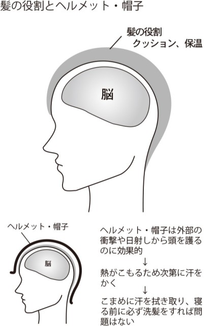 髪の役割とヘルメット・帽子